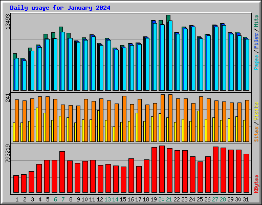 Daily usage for January 2024