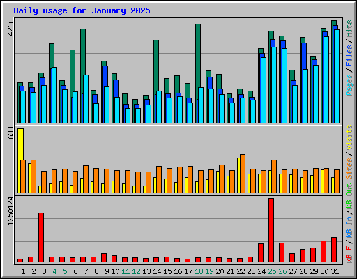 Daily usage for January 2025