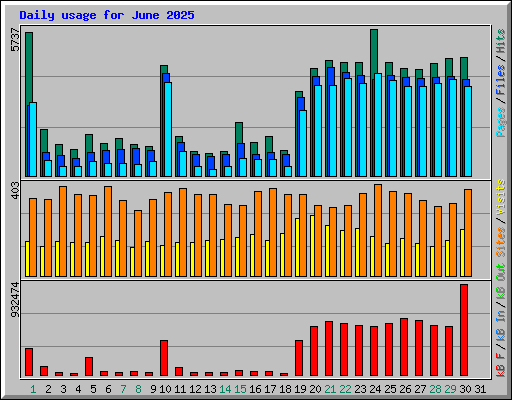 Daily usage for June 2025