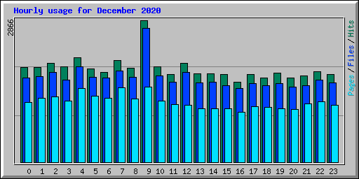 Hourly usage for December 2020