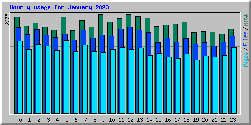 Hourly usage for January 2023