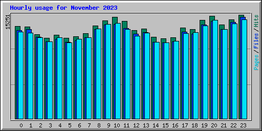 Hourly usage for November 2023