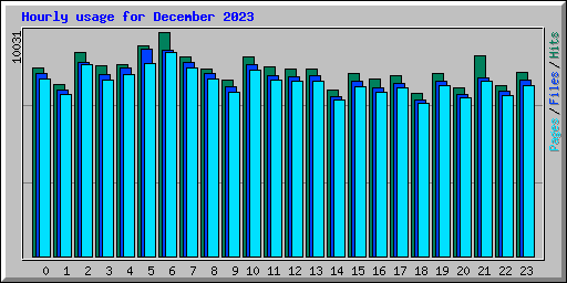 Hourly usage for December 2023