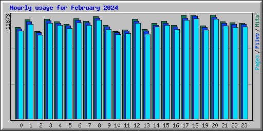 Hourly usage for February 2024