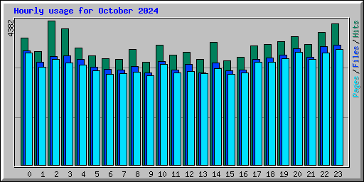 Hourly usage for October 2024