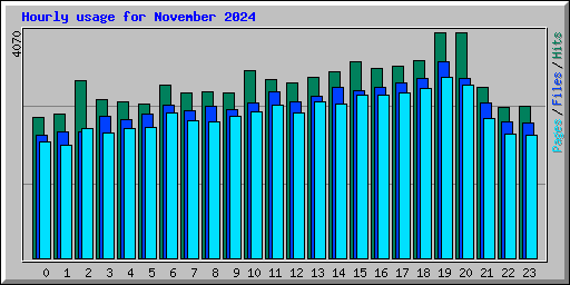 Hourly usage for November 2024