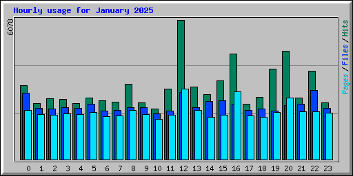 Hourly usage for January 2025