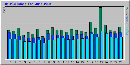 Hourly usage for June 2025