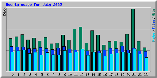 Hourly usage for July 2025