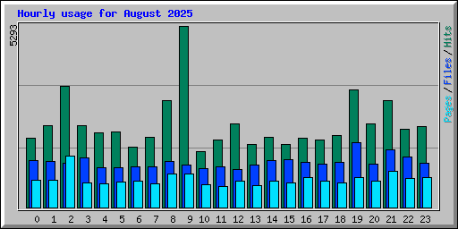 Hourly usage for August 2025