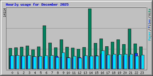 Hourly usage for December 2025