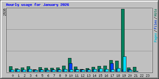 Hourly usage for January 2026