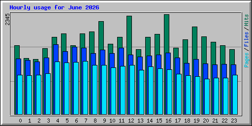 Hourly usage for June 2026